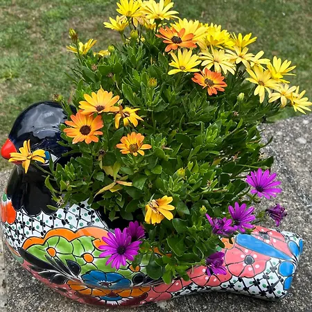 Les Bruyeres Dhotes Et Bed & Breakfast 4*