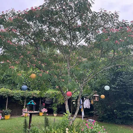 Les Bruyeres Dhotes Et 4*