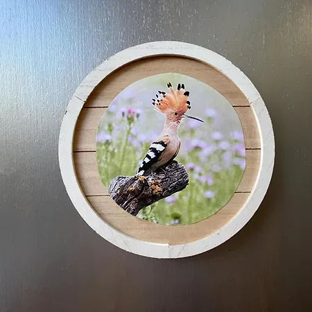 Les Bruyeres Dhotes Et فندق مبيت وإفطار Verteuil-sur-Charente