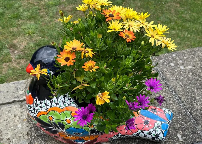 Les Bruyeres Dhotes Et Bed and breakfast 4*