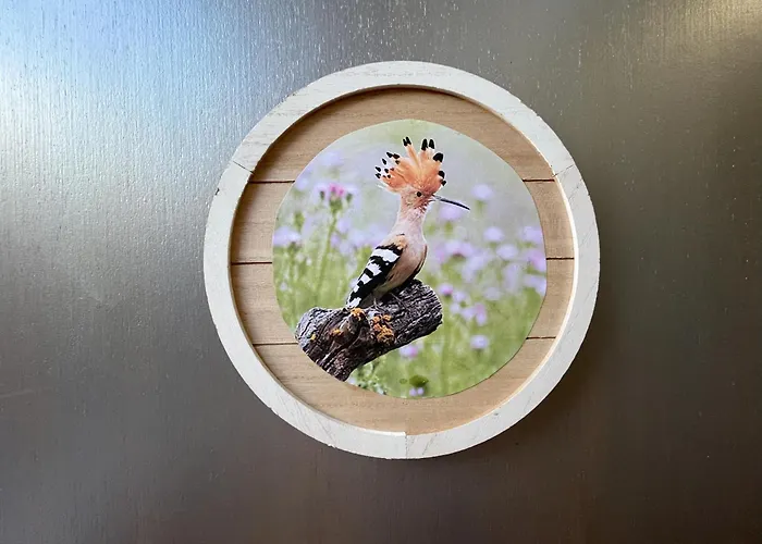 Les Bruyeres Dhotes Et Bed and breakfast Verteuil-sur-Charente